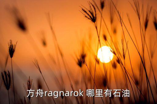 方舟手游石油怎么弄到，方舟ragnarok 哪里有石油