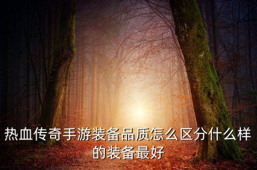 热血传奇手游装备品质怎么区分什么样的装备最好