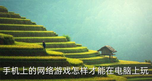 联盟手游与端游怎么同步，手机上的网络游戏怎样才能在电脑上玩