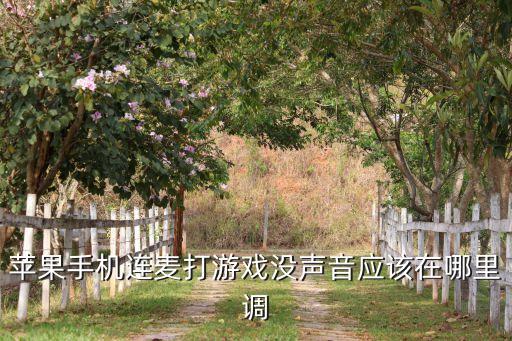 苹果手机连麦打游戏没声音应该在哪里调
