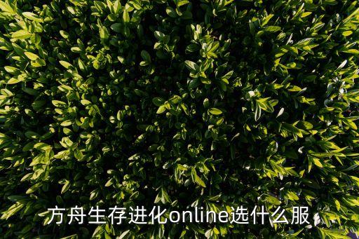 方舟生存进化online选什么服