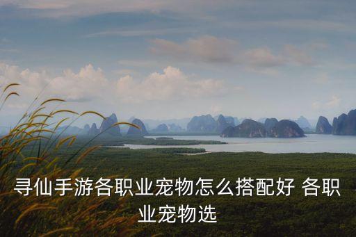 寻仙手游各职业宠物怎么搭配好 各职业宠物选