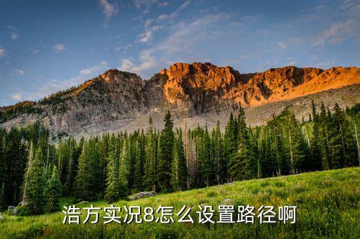 浩方实况8怎么设置路径啊