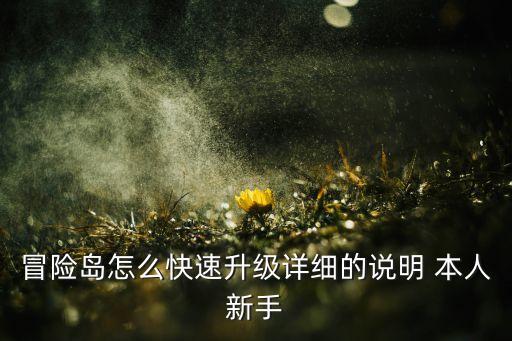 冒险岛怎么快速升级详细的说明 本人新手