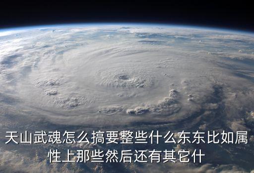 天山武魂怎么搞要整些什么东东比如属性上那些然后还有其它什