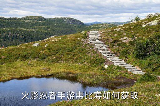 火影忍者手游惠比寿如何获取