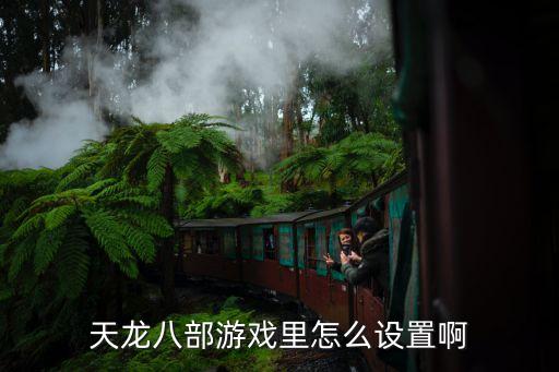天龙八部游戏里怎么设置啊