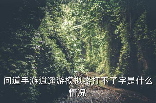 问道手游里怎么打不了字，为什么我在问道打不出字