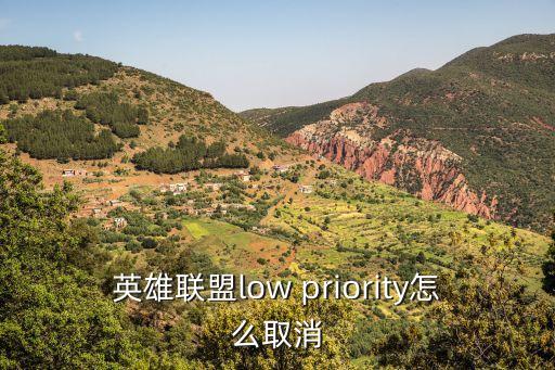 英雄联盟low priority怎么取消