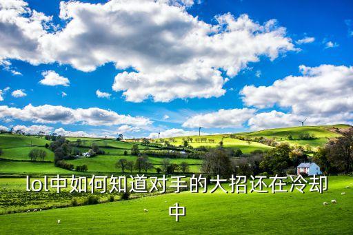 lol手游怎么算对手技能时间，lol中如何知道对手的大招还在冷却中