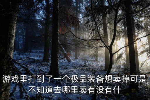 游戏里打到了一个极品装备想卖掉可是不知道去哪里卖有没有什