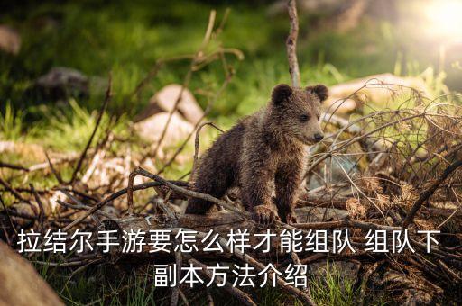 拉结尔手游要怎么样才能组队 组队下副本方法介绍