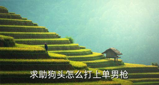 求助狗头怎么打上单男枪