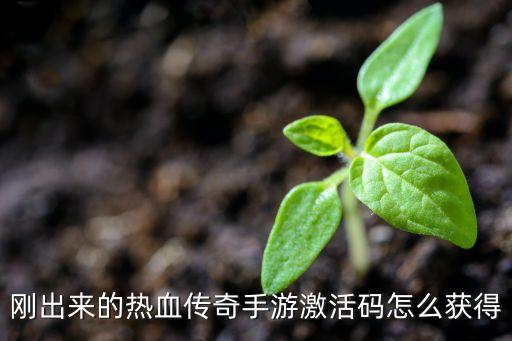 刚出来的热血传奇手游激活码怎么获得