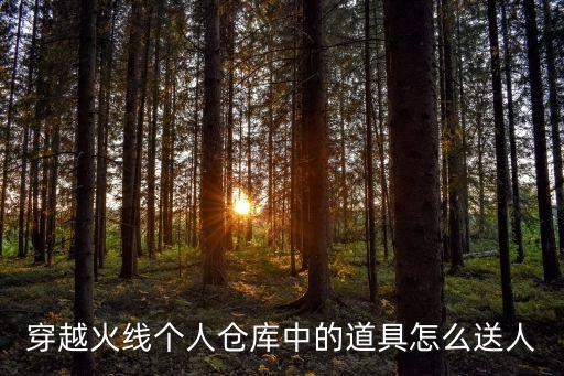 穿越火线个人仓库中的道具怎么送人