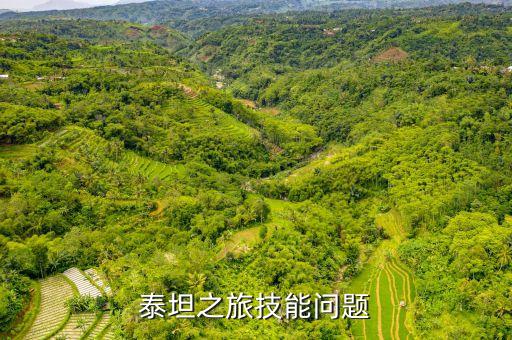 泰坦之旅技能问题
