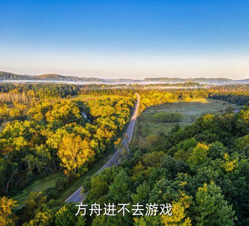 方舟进不去游戏