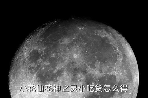 小花仙手游花神之灵怎么获得，小花仙花神之灵怎么获得