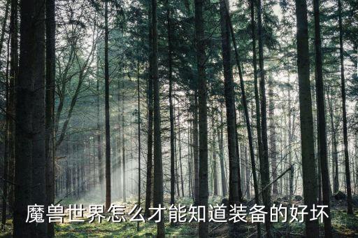 魔兽世界怎么才能知道装备的好坏