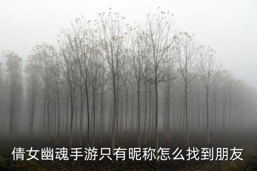 倩女幽魂手游只有昵称怎么找到朋友