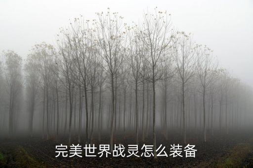 完美世界手游怎么分配装备，完美世界战灵怎么装备