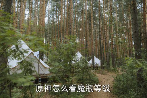 手游原神怎么看冒险等级，原神怎么看魔瓶等级