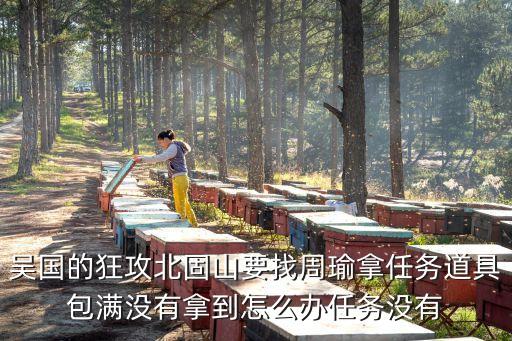 吴国的狂攻北固山要找周瑜拿任务道具包满没有拿到怎么办任务没有