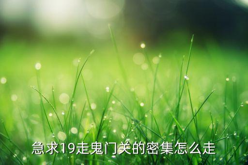 急求19走鬼门关的密集怎么走