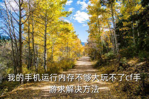 我的手机运行内存不够大玩不了cf手游求解决方法