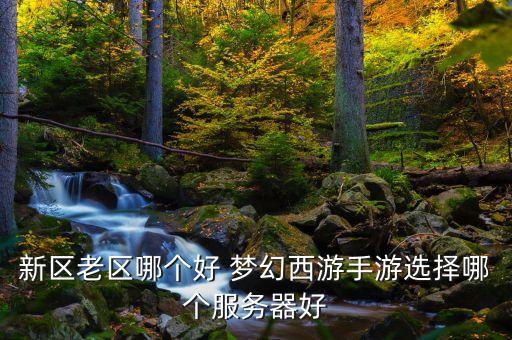 梦幻手游怎么选服务区，梦幻西游手游怎么不能选择服务器