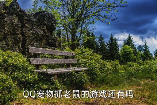 QQ宠物抓老鼠的游戏还有吗