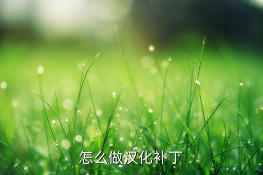 怎么做汉化补丁