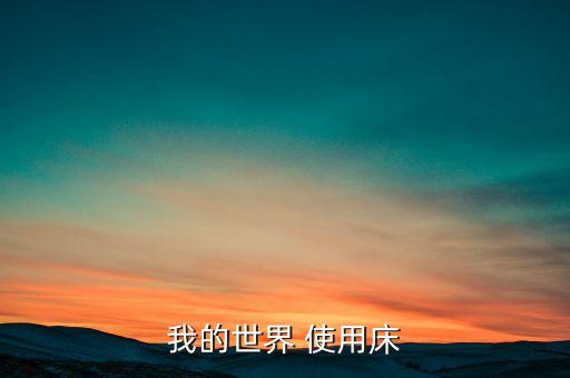 我的世界 使用床