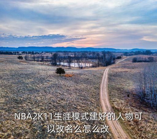 2k20手游自建球员怎么改名，NBA2K11生涯模式建好的人物可以改名么怎么改