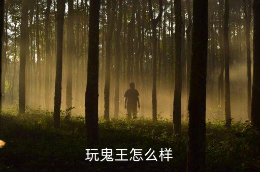 玩鬼王怎么样