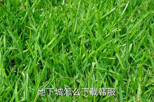 地下城怎么下载韩服