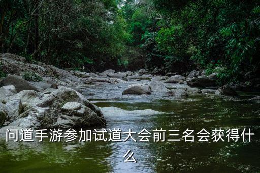 问道手游参加试道大会前三名会获得什么