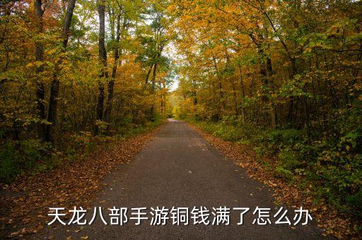 天龙八部手游铜钱满了怎么办