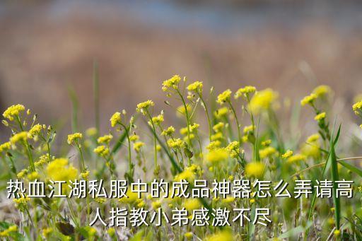 热血江湖私服中的成品神器怎么弄请高人指教小弟感激不尽