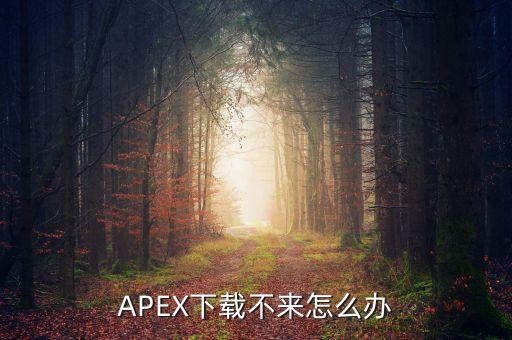 APEX下载不来怎么办