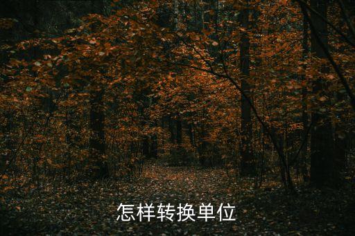 怎样转换单位