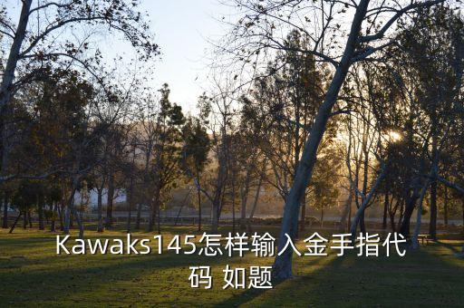 Kawaks145怎样输入金手指代码 如题