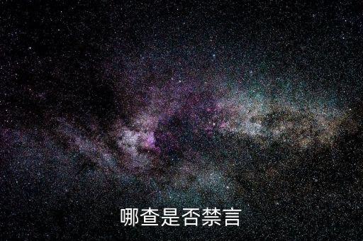 英雄联盟手游被禁言怎么查询，哪查是否禁言