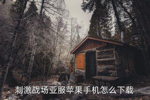 刺激战场亚服苹果手机怎么下载