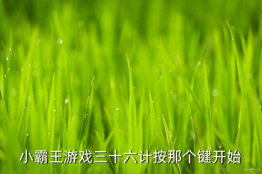 小霸王游戏三十六计按那个键开始