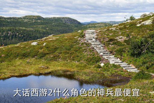 大话手游神兵怎么买最划算，大话神兵最好如何买