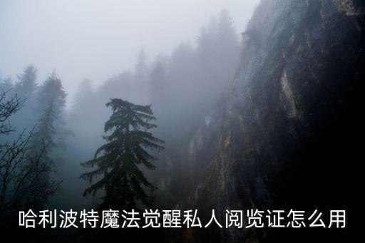 哈利波特魔法觉醒私人阅览证怎么用