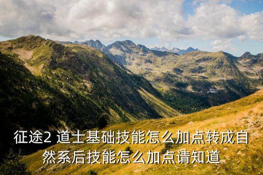 征途2 道士基础技能怎么加点转成自然系后技能怎么加点请知道