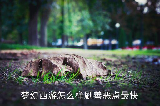 梦幻手游善恶点怎么刷出来，梦幻西游怎么样刷善恶点最快