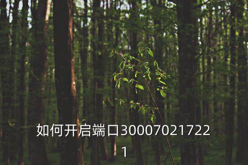 怎么打开未来之翼手游端口，如何开启网游端口